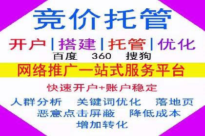成功SEM服务案例分析报告